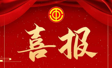 喜报！嘉保集团业务大厅（暨外贸综合服务大厅）荣获嘉兴市“工人先锋号”荣誉称号