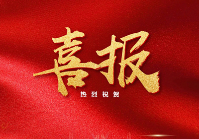 又一喜报！嘉保集团外贸综合服务大厅保税（国际）物流公司通关部喜提嘉兴市“助力营商环境浙里最佳她力量”团队命名啦~